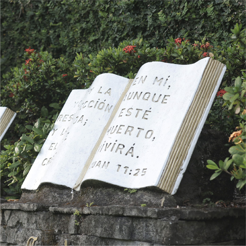 Biblias